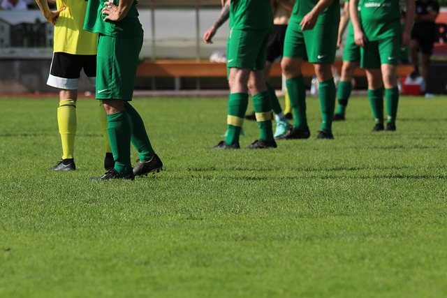 这种合作模 这种合作模