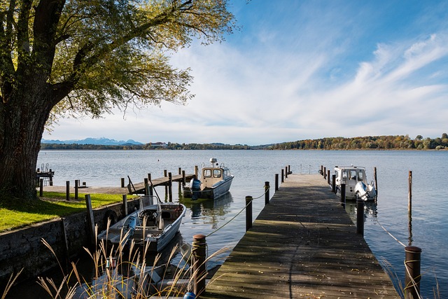 正是基于她 正是基于她