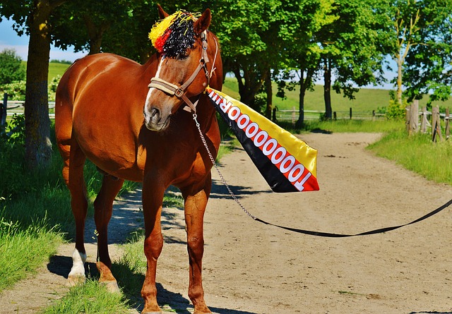 发展的方向 发展的方向