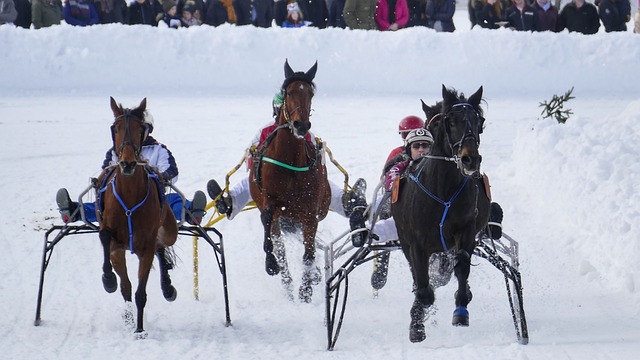 乃至世界足 乃至世界足