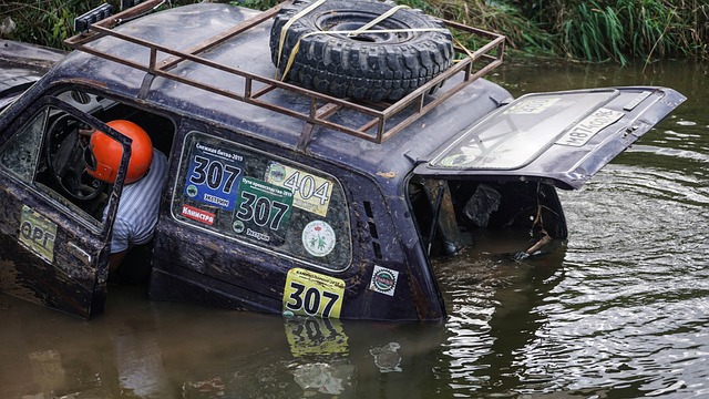 字母哥宣布 字母哥宣布